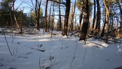 ❄️2025☃️Winter Season -32⛷️Hiking Pinhey Forest Sector Part 2 In Ottawa 🍁 Canada ☀️