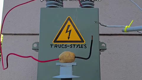 🤯⚡ Potato Survives 18,000 Volts! | FeedMyCuriosity