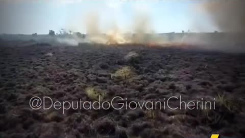 Uma indígena falou o que muitos têm medo de dizer: no Brasil de hoje, quem fala a verdade vira alvo. Não precisa ser de direita, basta ser honesto. A mentira virou regra, a verdade virou perigo. Reaja, Brasil.