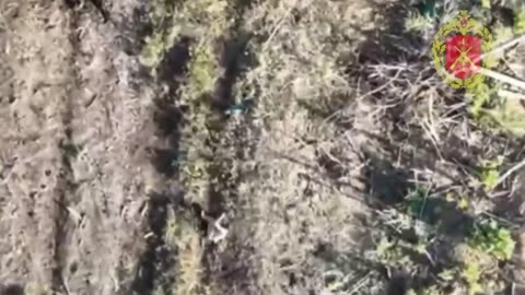 Ukraine war combat footage 10/6/25