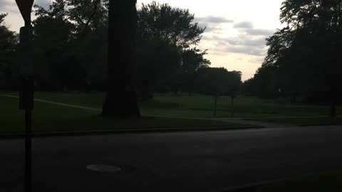 A Rare Visit to Origins Park