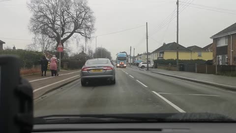 No Black Panther Sandringham Serial Killer Here