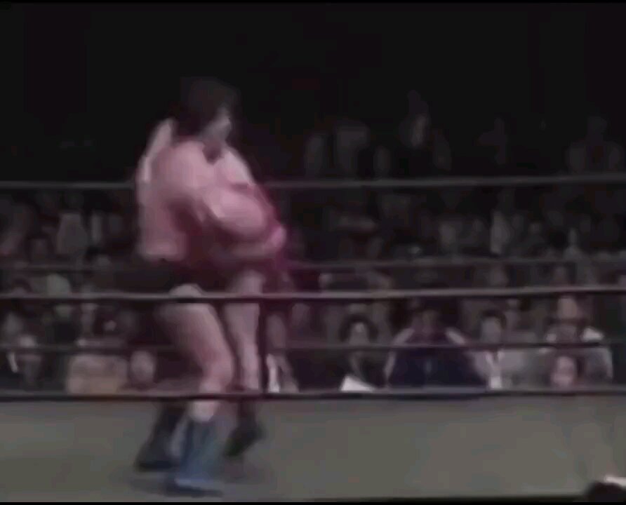 Andre the Giant Tombstone Fools