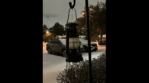 Morning in Savannah