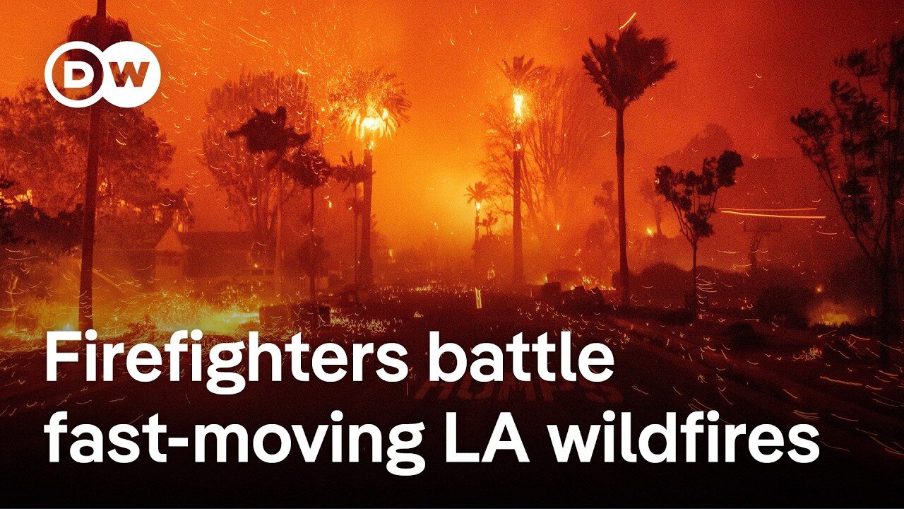 Wildfires burn through Los Angeles' upper-class Pacific Palisades enclave | DW News