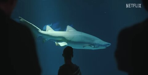 BLACK RABBIT | Official Trailer | Netflix