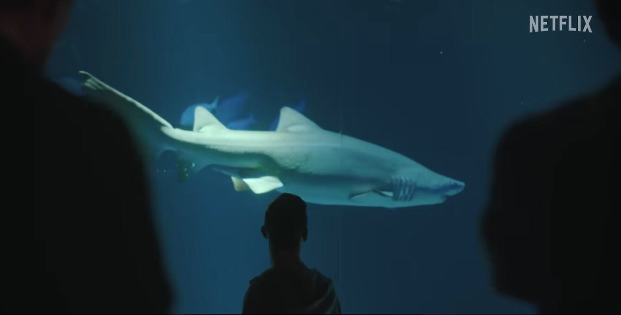 BLACK RABBIT | Official Trailer | Netflix