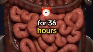 36 Hour Fast - How fasting works as a powerful healing tool