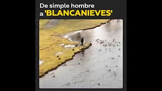 Hombre se convierte en el ‘rey de los patos’ en un estanque