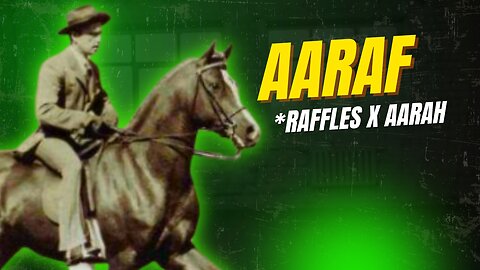 Aaraf (*Raffles x Aarah) 1943 Arabian Stallion AHR #2748 presented by Crabbet.com #horse #animals