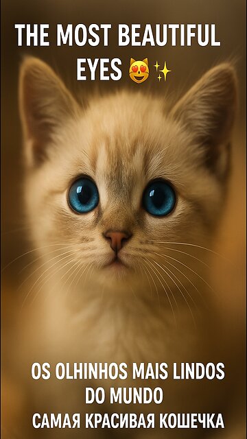 The most beautiful eyes you'll see today 😻💫