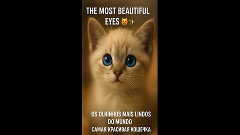 The most beautiful eyes you'll see today 😻💫
