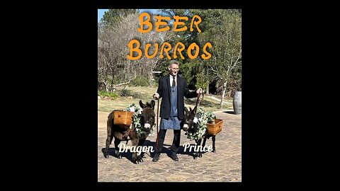 Beer Burros: The Cutest Bartenders You’ve Ever Seen 🫏🍺