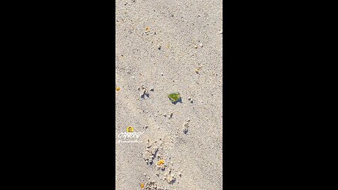 BEAUTIFUL PIECE OF BEACH GLASS!