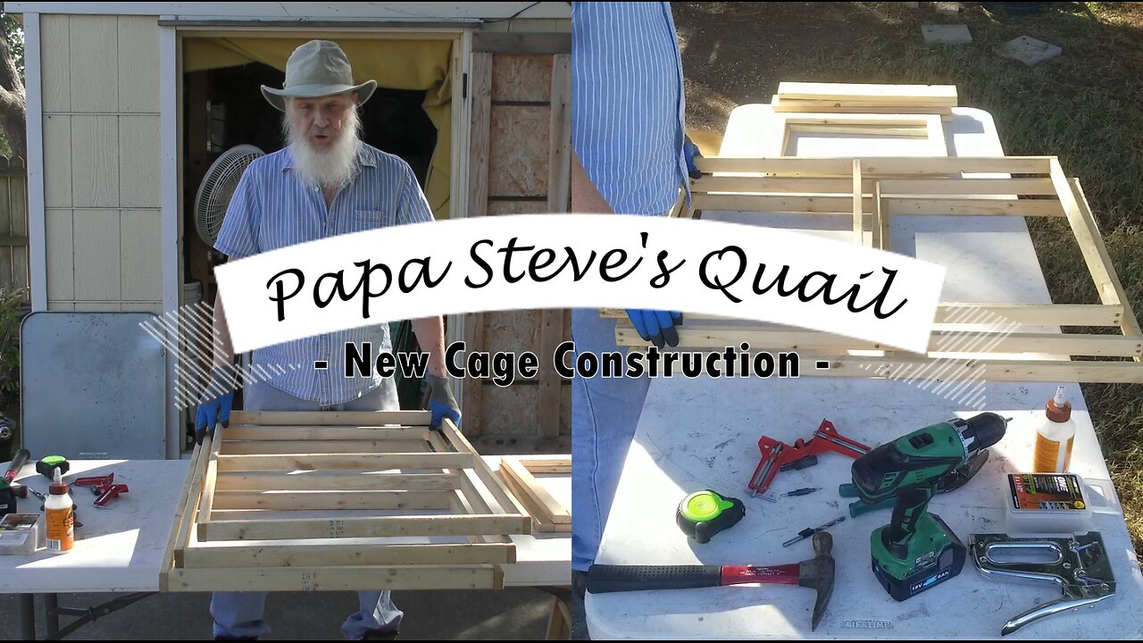 Back Yard Quail - New Cage Construction