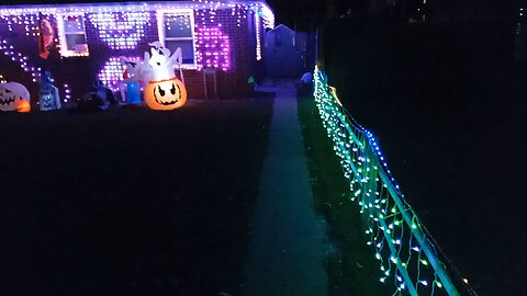 THIS YEAR'S DISPLAY