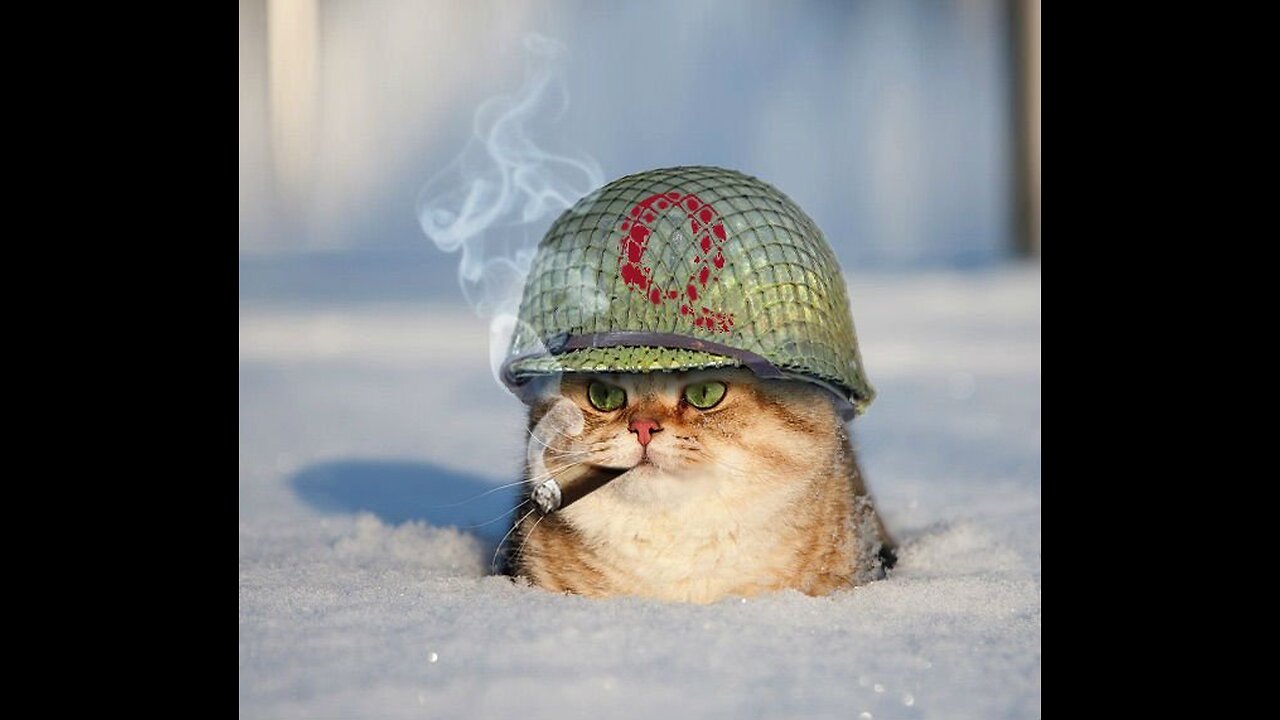 DJ VECTOR117 PRESENTS - THE X-PHAKTOR - EPISODE 429