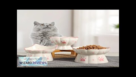 Cat Ceramic Food Bowl Elevated Pet Drinking Eating Feeders Small Puppy Dogs Review