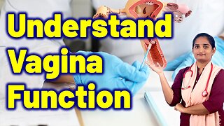 Female Vagina Structure & Functions | Vulvodynia Pain Treatment Cure Medicine | Gynaecology Women