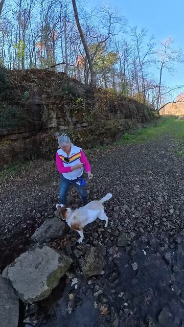 Walks with a senior dog