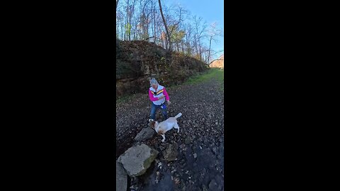 Walks with a senior dog