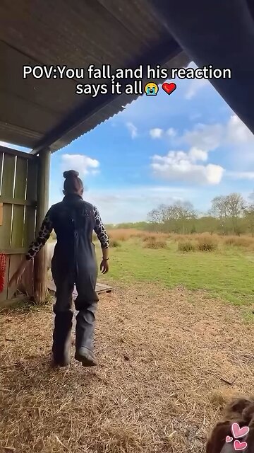 Beautiful Bonding Between Humans & Animals😍