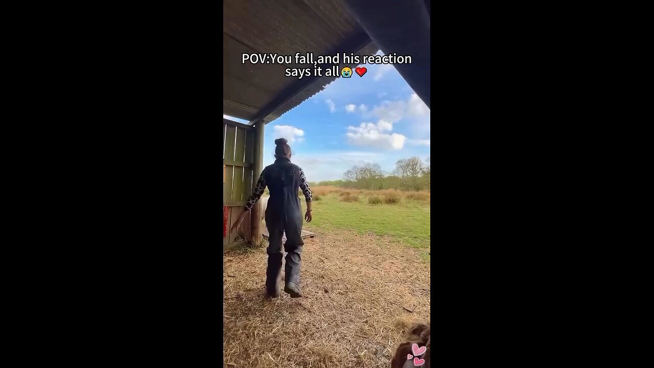 Beautiful Bonding Between Humans & Animals😍