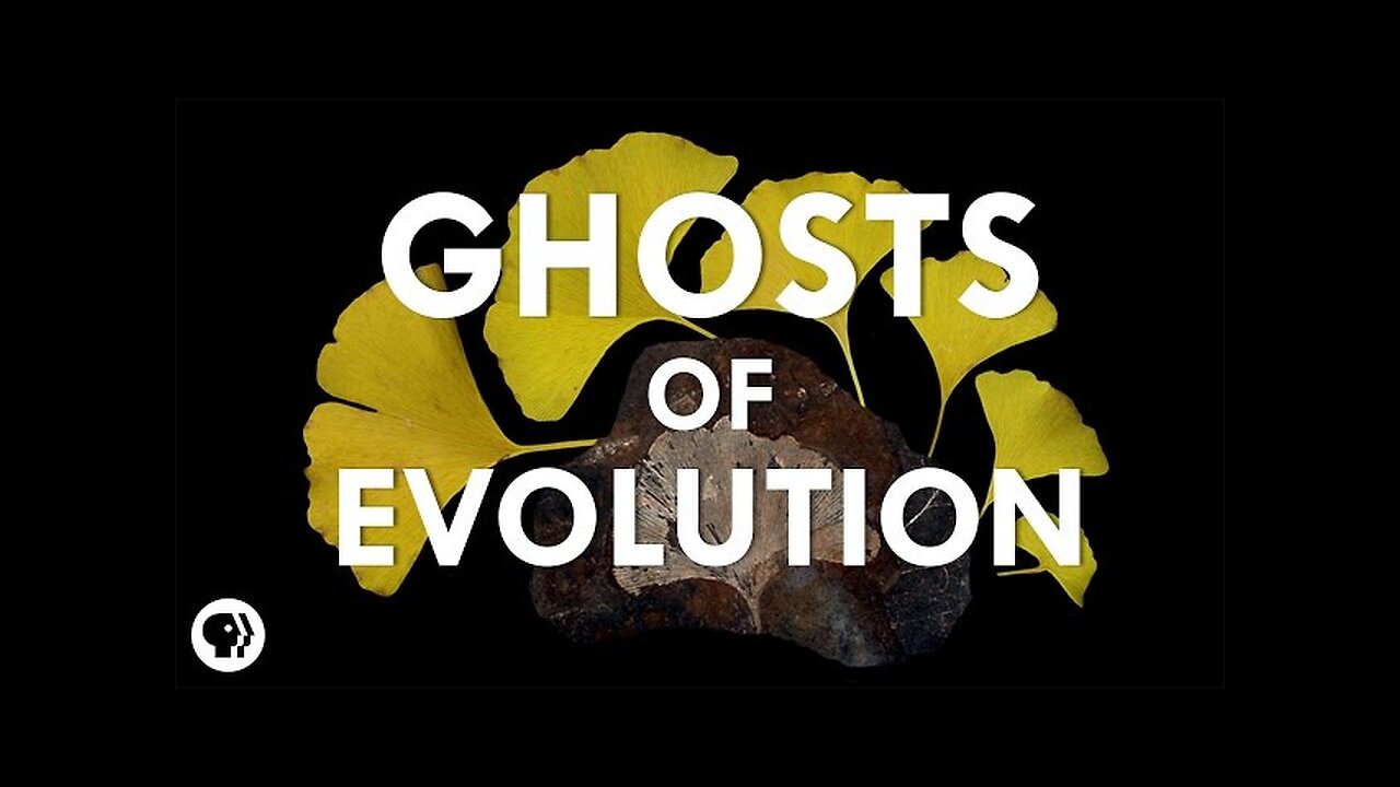 Ghosts of Evolution