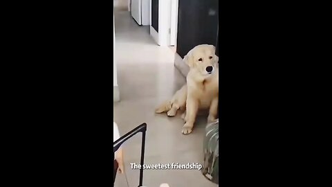 the sweetest friendship forever