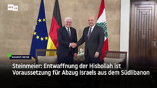 Steinmeier: Entwaffnung der Hisbollah ist Voraussetzung für Abzug Israels aus dem Südlibanon