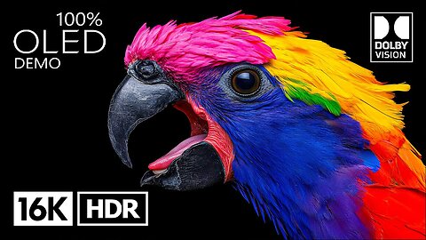 Most Beautiful HDR OLED Demo for 4K/8K Video Test | 16K HDR 120 FPS | Dolby Vision