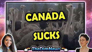 TheDimNews LIVE: Canada Sucks, Slaughters Nearly 400 Ostriches