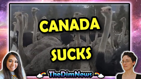 TheDimNews LIVE: Canada Sucks, Slaughters Nearly 400 Ostriches