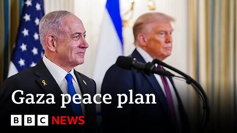 Trump peace plan 'ignores interests of Palestinian people', Hamas official says | BBC News
