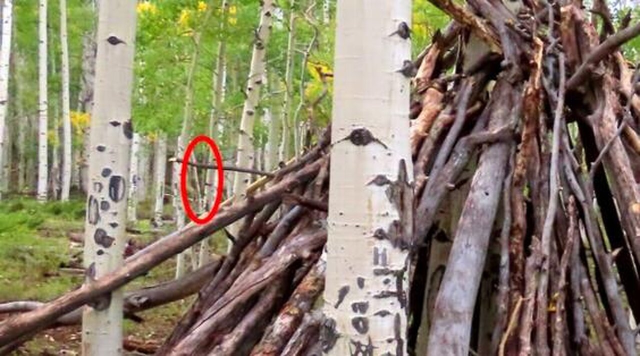 EPIC Utah Bigfoot expedition "Round Table" drive/DUKE & Kelly Shaw