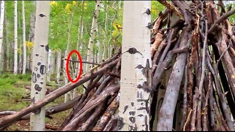 EPIC Utah Bigfoot expedition "Round Table" drive/DUKE & Kelly Shaw