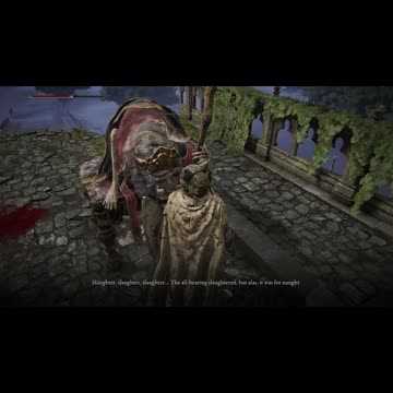 Elden Ring PC | Finger Reader Crone at Raya Lucaria Academy Bridge in Liurnia full dialogue #shorts