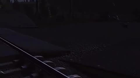 Call of Duty Cold War Zombies Gameplay (No Commentary)