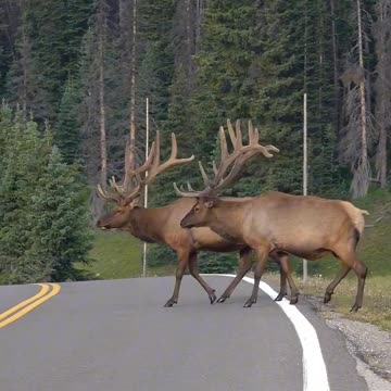 Colorado Adventure 😮🤭