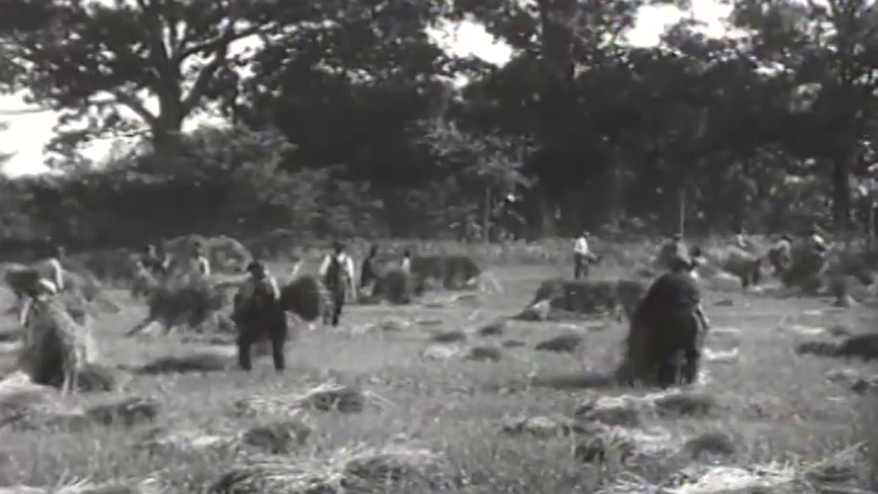 Farming with Ford Tractors - Farming with Ford Tractors - fc-fc-2022