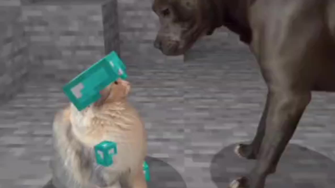 Cats in Minecraft