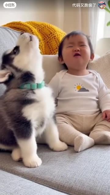 Funny Scene 😂 | Ye Video Miss Mat Karna | Comedy Short