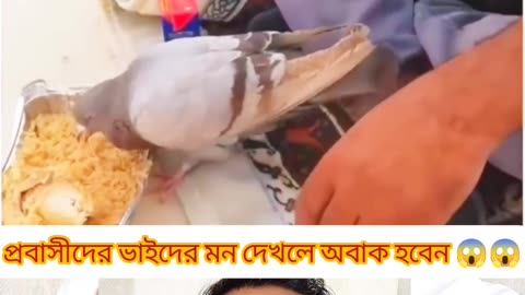 প্রবাসীর হৃদয়ময় উদারতা 💖 | ভাত ভাগ করা সেই মুহূর্ত