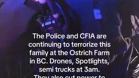 📌 Section: Night Operations & 3 A.M. Confrontation Log