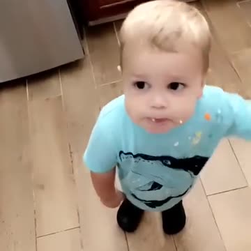 Kiddo Wants to Share Whipped Cream with Corgi || ViralHog