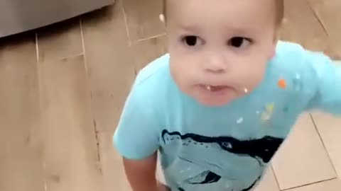 Kiddo Wants to Share Whipped Cream with Corgi || ViralHog