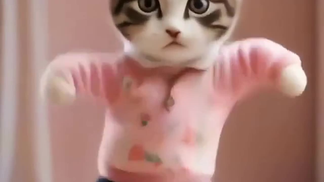 KITTY DANCE CUTE