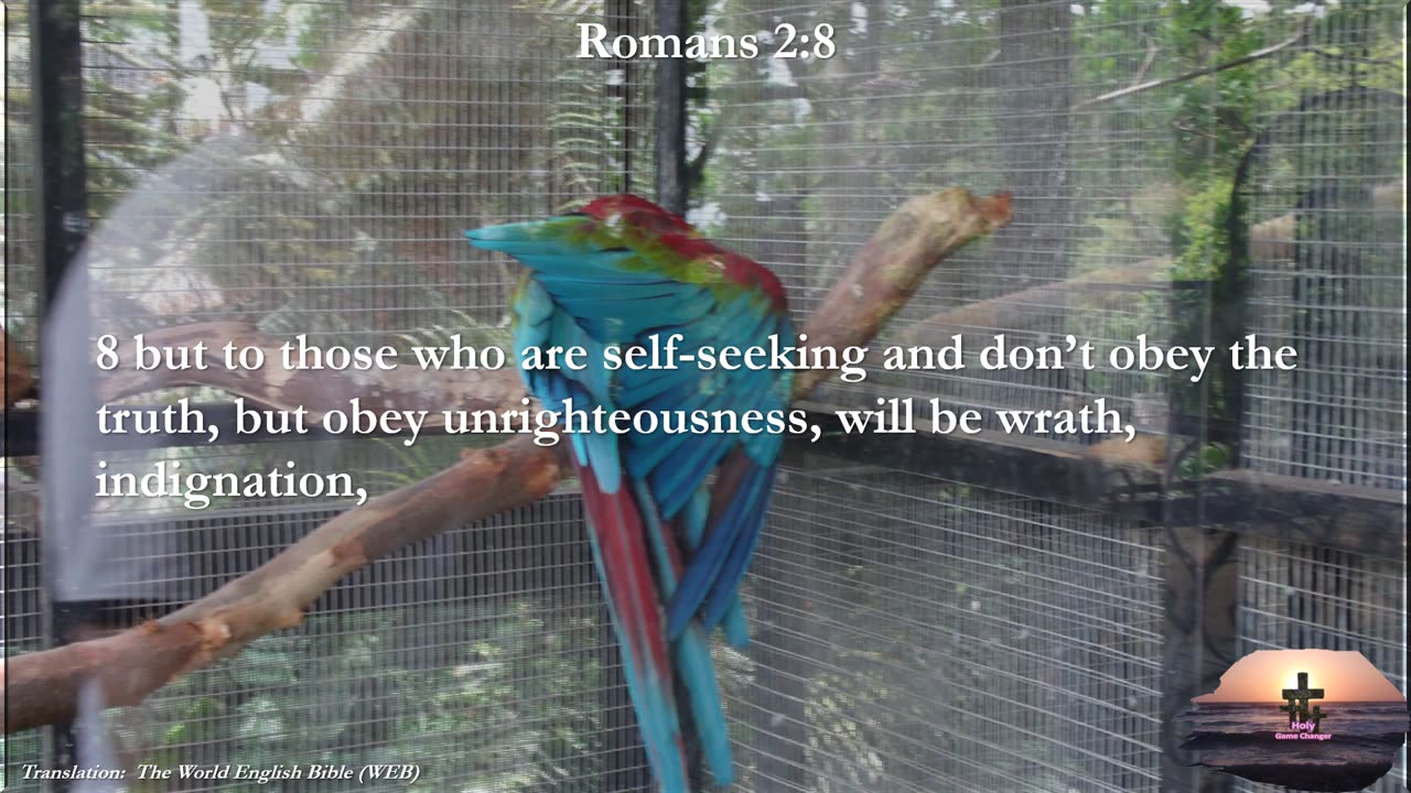 Romans 2:8