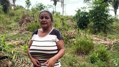 Brazil to blast channel in Amazon river to increase shipping