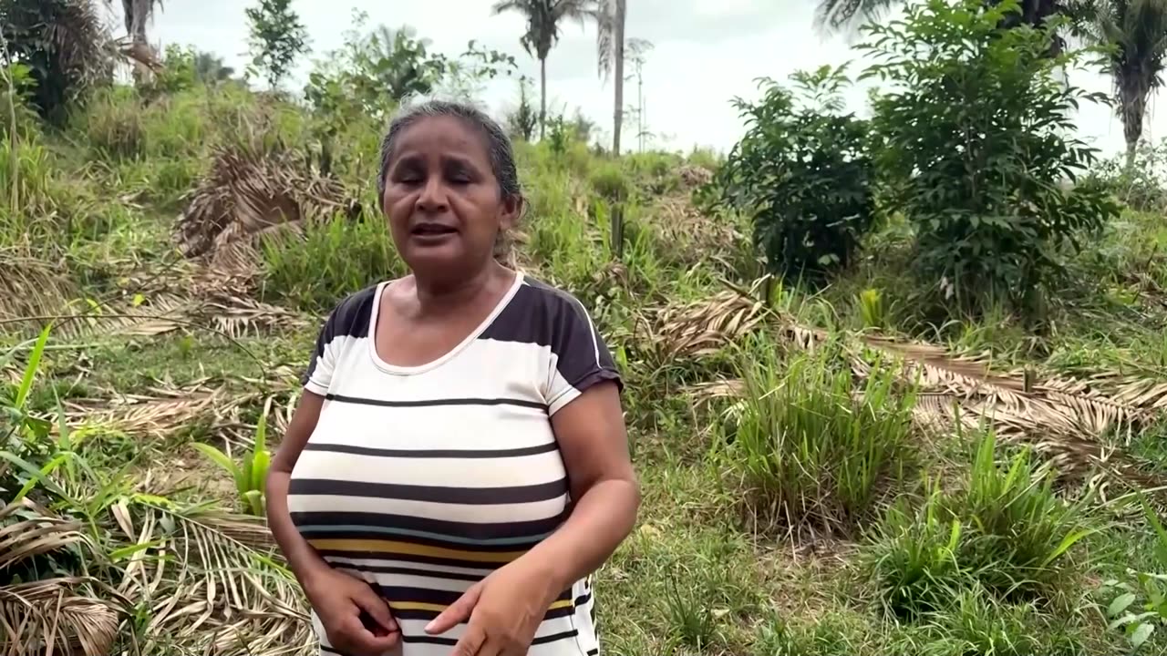 Brazil to blast channel in Amazon river to increase shipping